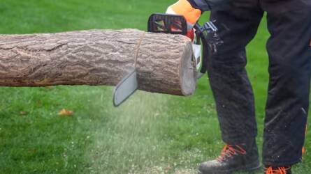 Megverheti a kínai utánzat a prémium német láncfűrészt? Egy tesztből kiderült