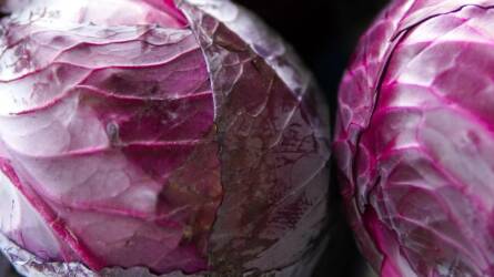 Fermentálás otthon: egészséges savanyúság lilakáposztából