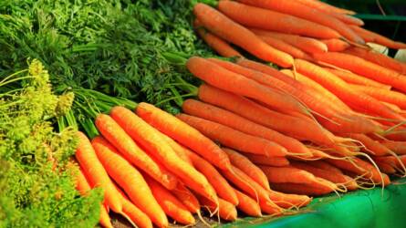 Miért fonnyadnak meg a gyökérzöldségek a tárolás során?