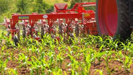 Einböck sorközművelő kultivátorok, kifejezetten mulcs- és direktvetéshez is tervezve