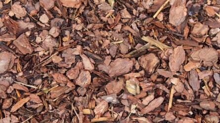 A mulcsnak is lehet negatív hatása, kerüljük el a buktatókat