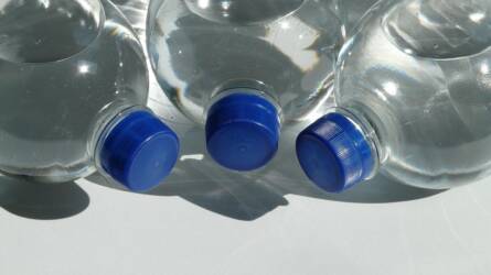 Szénsavas vízzel öntözve sokat ártok a szobanövényeknek? A válasz meglepő lesz