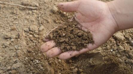 Decemberi talajvizsgálat és tápanyagtervezés – alapozza meg időben a jövő évi termést!