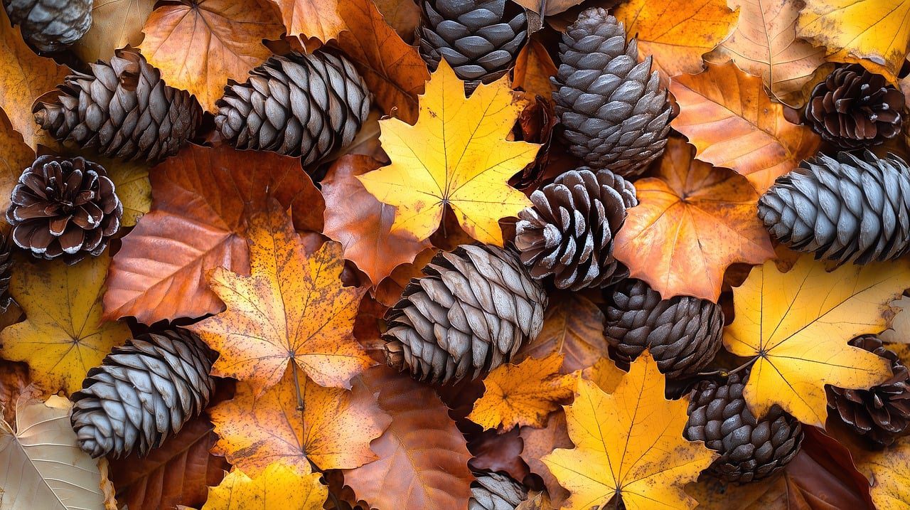 A toboz az egyik legsokoldalúbb téli dekorációs elem