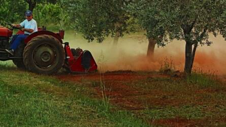 Hatalmas régészeti felfedezés, egy gazda traktora nem akármit fordított ki a földből