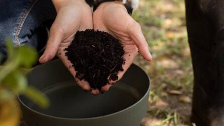 Kávézacc, tojáshéj, fahamu – mit érnek valójában?