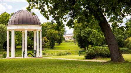 Botanikai séta a fehérvárcsurgói Károlyi Kastély  parkjában