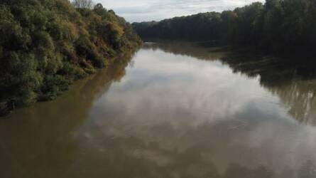 Február 1. a Tisza élővilágának emléknapja