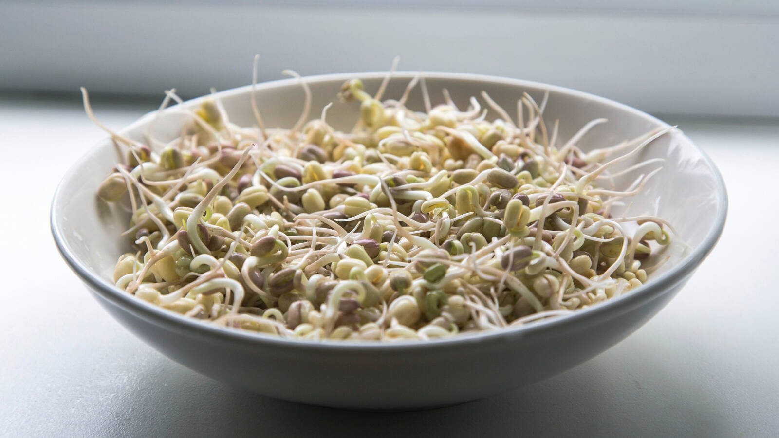 A csíranövény gazdag vitaminforrás