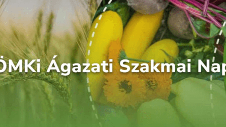 ÖMKi Ágazati Szakmai Nap