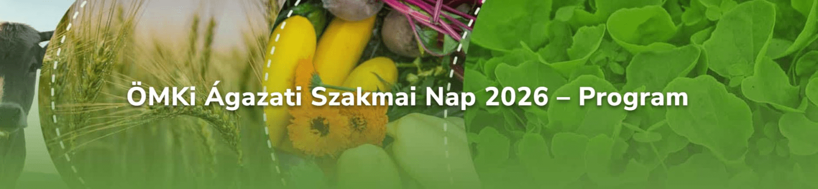 ÖMKI Ágazati Szakmai Nap