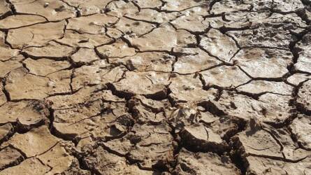 Eső után került elő páratlan kincs a szántóföldről, minden környékbeli erre vadászik azóta
