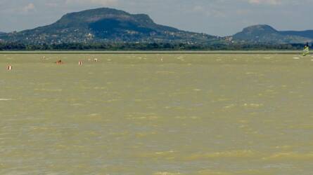 A Balatonba is jutott a kísérleti telepről megszökött kártékony állatból, máig küzdenek vele