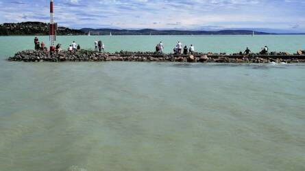 Gyilkos élőlény bukkant fel a Balaton környékén, szándékosan juttathatták a vízbe