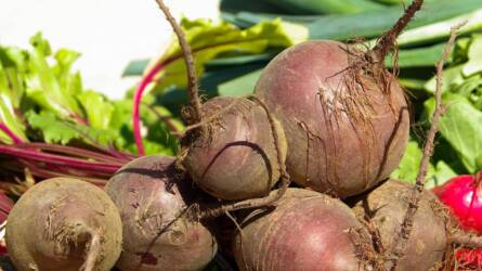 Majdnem 2 millió forintig adómentesen? Erről sok őstermelő még nem is hallott!