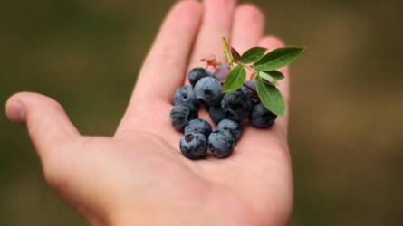 Monitor, telefon, tablet: így sínyli meg a szemünk, és ezt tehetjük ellene