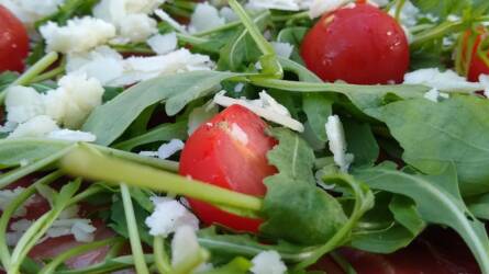 C-vitamin bomba a salátástálban! A rukkola még a narancsot is lenyomja