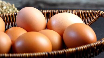 Téli hideg, üres tojófészek? Ezt adja a tyúknak, ha tojást akar!