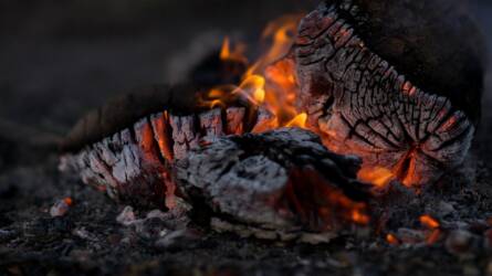 Mennyi hamu szórható ki a kertbe?