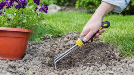 Trendek, amelyek átformálják a kerteket: ez lesz a divat idén