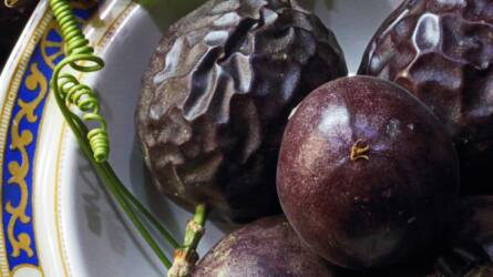 Tényleg erősíti az immunrendszert a passiógyümölcs?