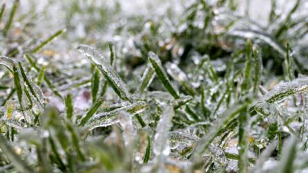 Jeges csapda – miért ennyire veszélyes az ónos eső?