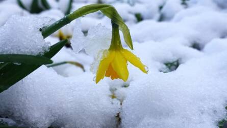 Őrizzük meg a vizet a havazás után!