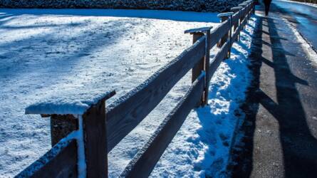 Lehet baja a növényeknek a járda téli sózásától?