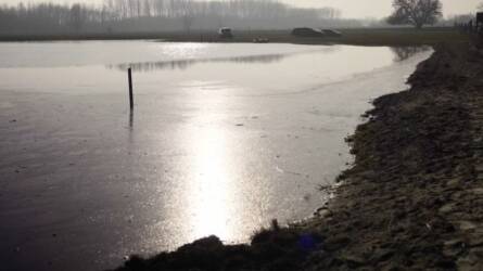 Hatalmas tó jött létre a Kiskunságban, véget vethet a félsivatagi körülményeknek