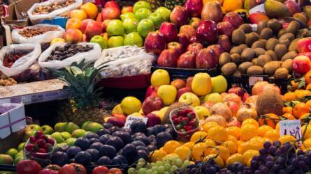 Gyümölcs- és zöldségágazati program indul