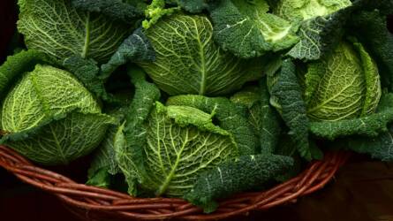 Meglepő, mit rejt a veteményes januárban: ezek a zöldségek télen is frissen szedhetők