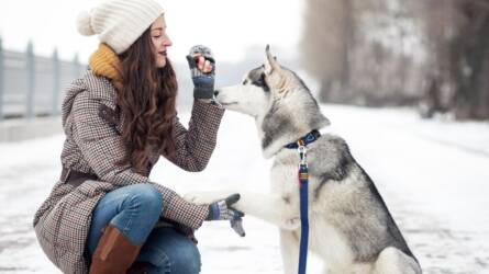 Így nem fagy be az állatok itatójában a víz, működik az egyszerű trükk