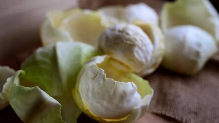 Zöldségek, amiktől jóllakunk, mégsem hízunk – a dietetikusok kedvencei