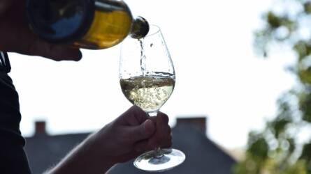 Ezért illatosabb az egyik bor, mint a másik – a szőlő héjától a pincetechnológiáig