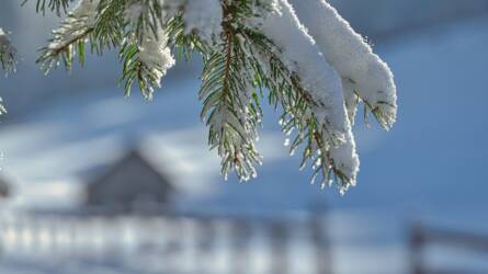 Nem ellenség, hanem szövetséges: miért örül a mezőgazdaság a hónak?