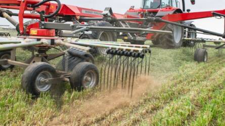 Prémium a zöldsorban: Massey Ferguson szálastakarmány-gépek