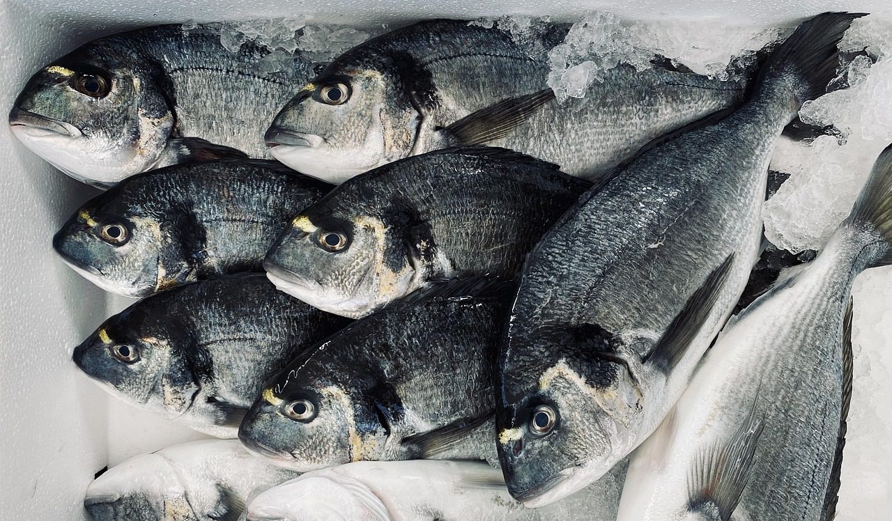 Haltermékek szerencsére kis számban voltak jelen a riasztások között