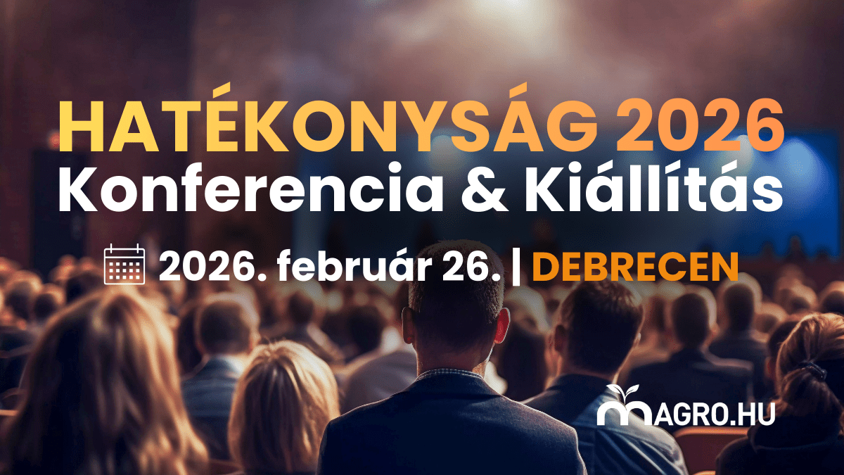 Hatékonyság 2026