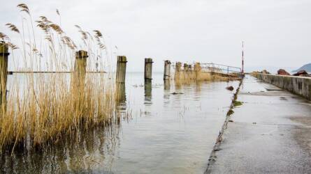 Éjszakai kamera rögzítette egy ijesztő lény felbukkanását a Balatonnál, soha nem tudjuk elűzni