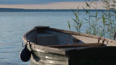 Fertőző betegség és évekig tartó mérgezés a Balatonon, máig isszuk a levét