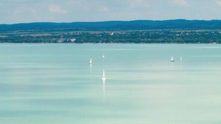 A Balaton partját is szétfúrhatja egy akváriumból elszabadult állat