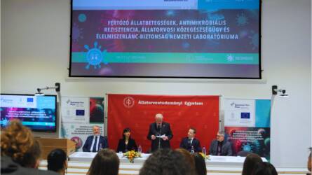 Az Állatorvostudományi Egyetem 4 éves kutatása nem csak az állattartókat érinti