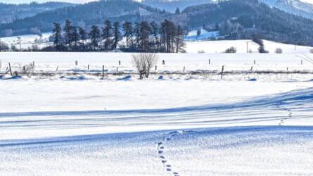 Fagy a határban: mely kultúrák sínylik meg leginkább a telet?