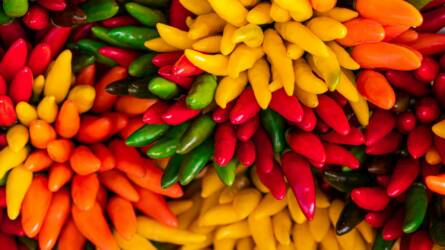 Paprika nemesítésének elképesztő eredményei