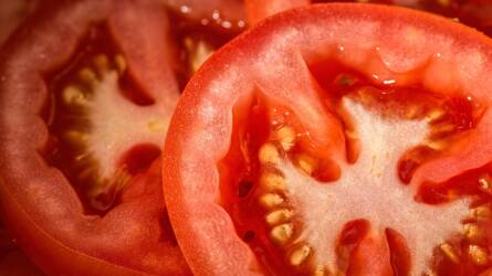 A paradicsom titkos ereje: ezért érdemes minden nap fogyasztani