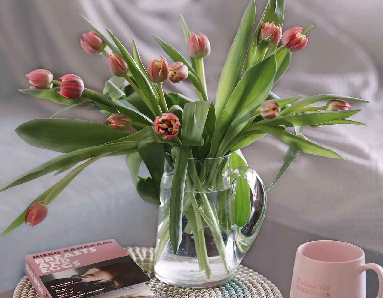 tulipán