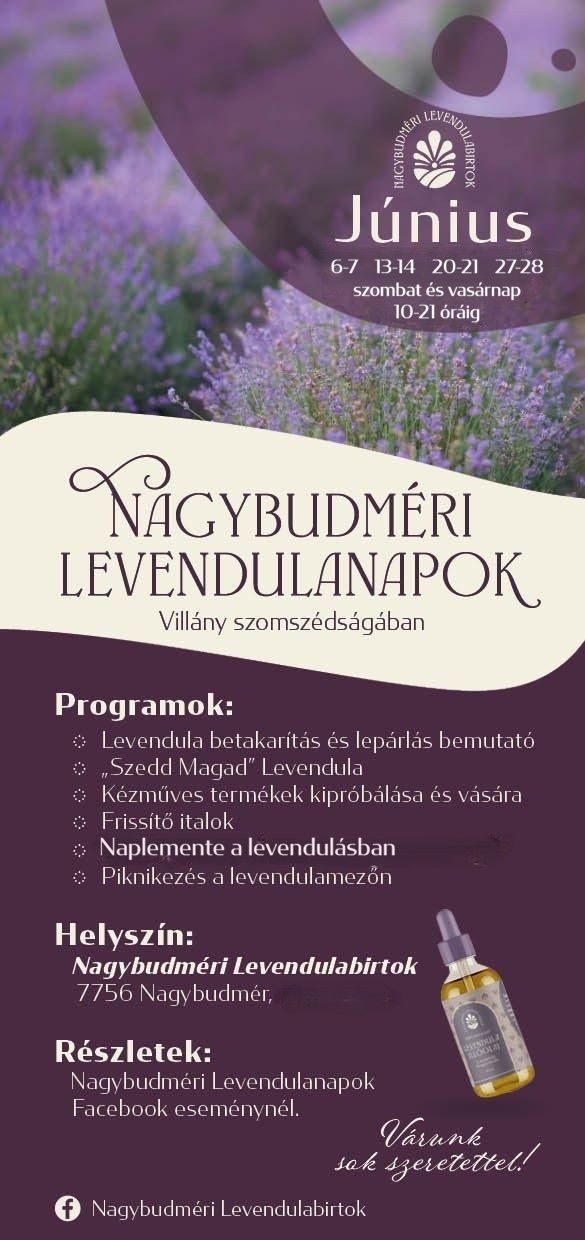 Nagybudméri Levendulanapok