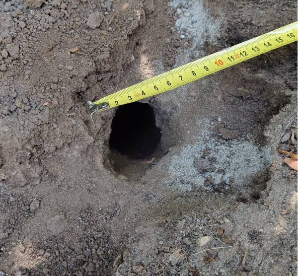 5 cm-es lyuk a földben