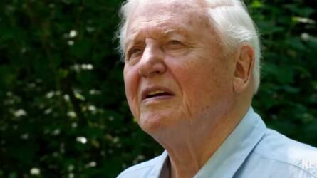 Egyetlen jó szokás, ami segített David Attenborough-nak megérni a 100. születésnapját