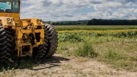 Hirdessen ingyen az Agrárpiactér oldalon – cégeknek is megéri